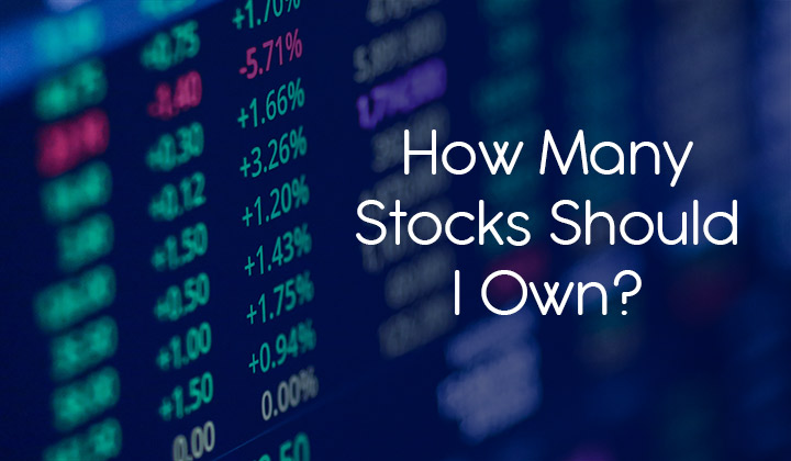 How many stocks should i own