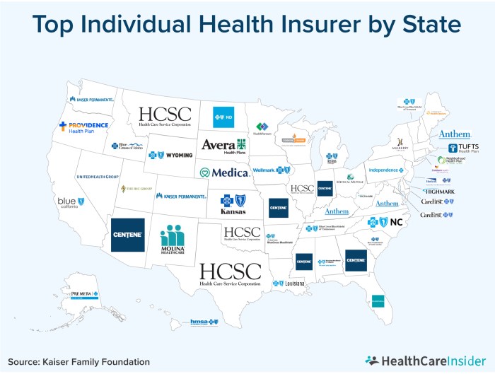 What are the major health insurance companies