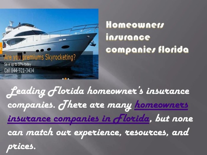 What insurance companies are in florida