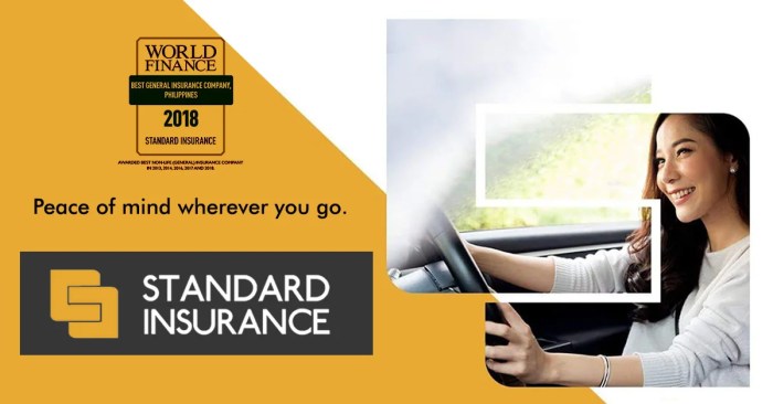 What is a non standard insurance company