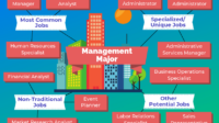 What jobs can you get with a business management degree