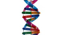 How to start a dna business