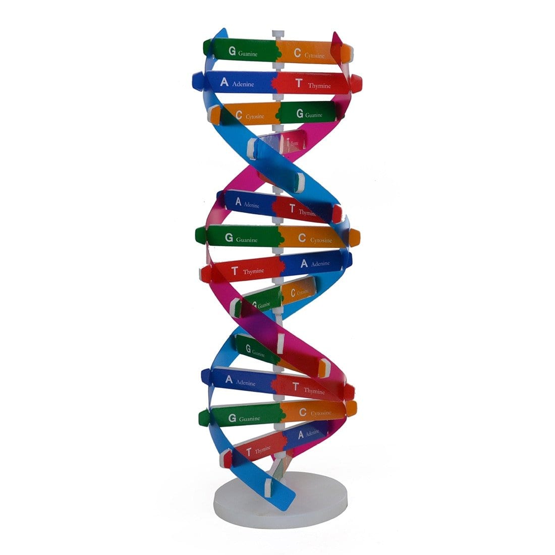 How to start a dna business