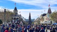 Disneyland reasons loved why christmas time we