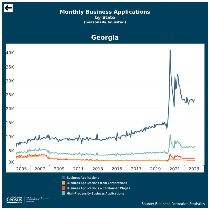 Does an llc need a business license in georgia