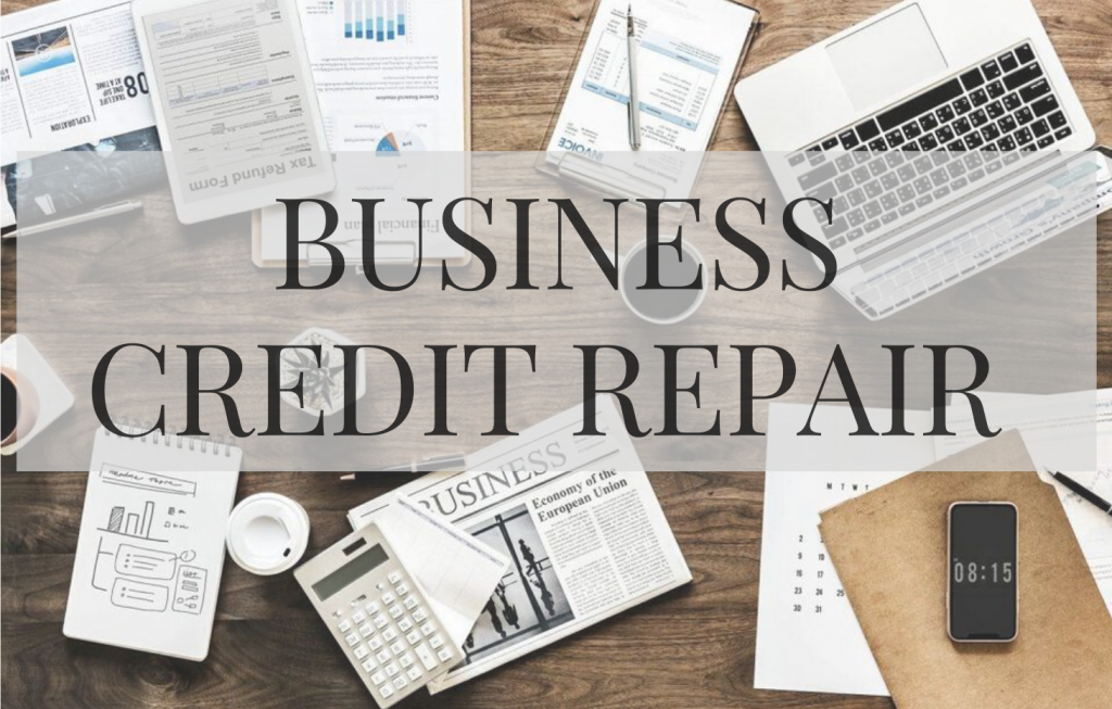 Credit repair business model