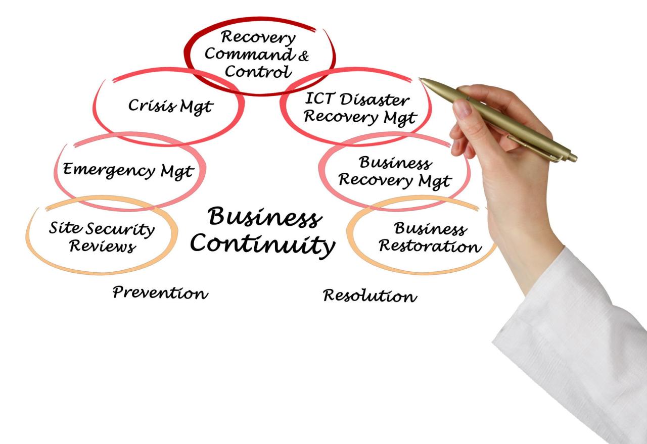 Where to find tcs process for business continuity management