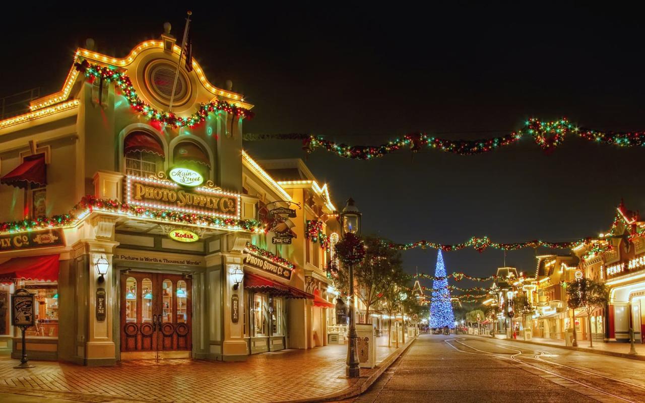 How busy is disneyland at christmas