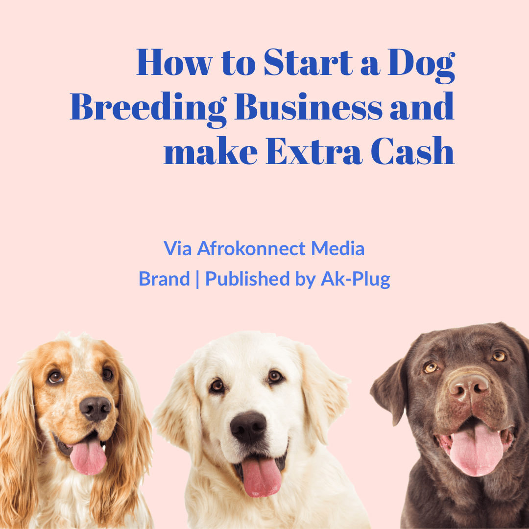 How to start a breeding business