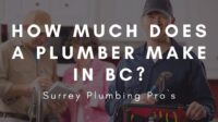 How much do plumbing business owners make