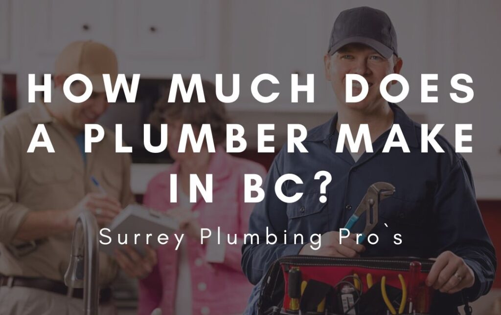 How much do plumbing business owners make