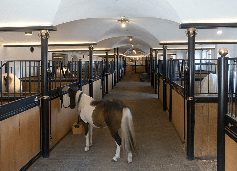 How to start a horse boarding business