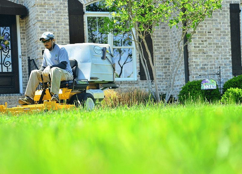 How to start your own lawn service business