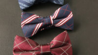 Are bow ties business professional