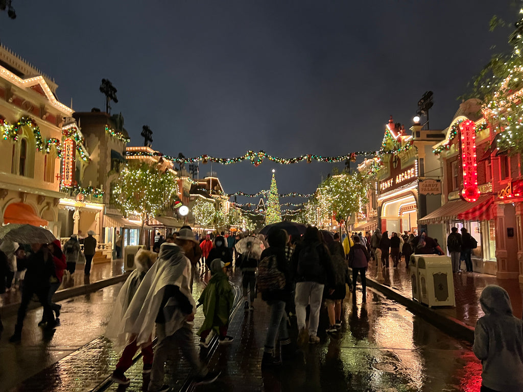 How busy is disneyland on christmas