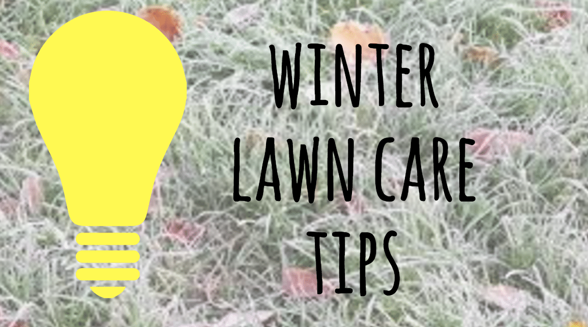 What do lawn care businesses do in the winter