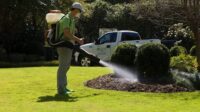 How to start a mosquito spraying business