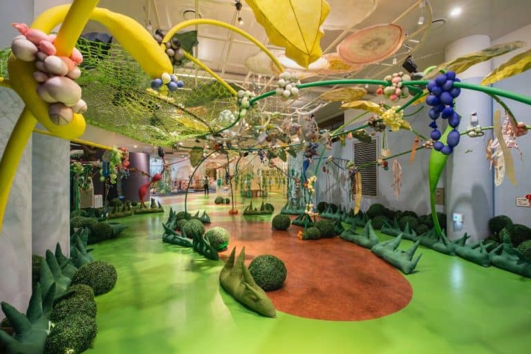 How to start indoor playground business