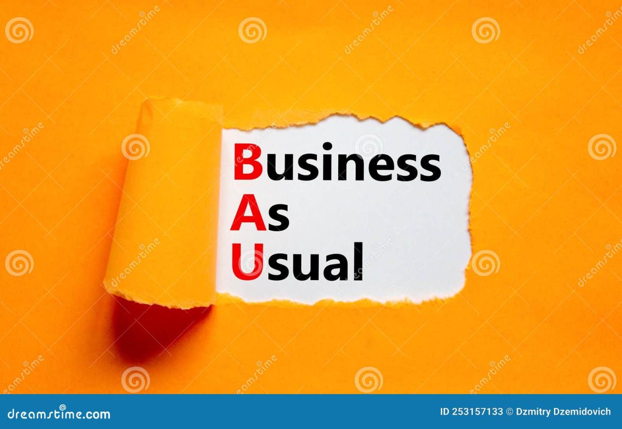 What does bau mean in business