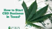 How to start a cbd business