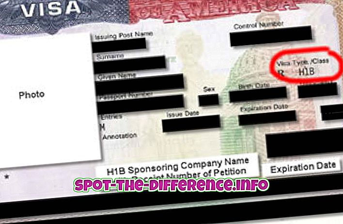 Can h1b visa holder start a business