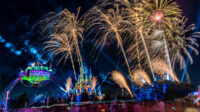 How busy is disney world in august