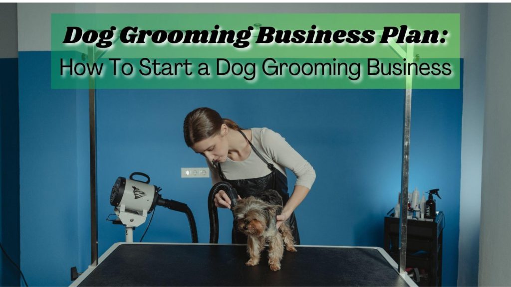 How much to set up a dog grooming business