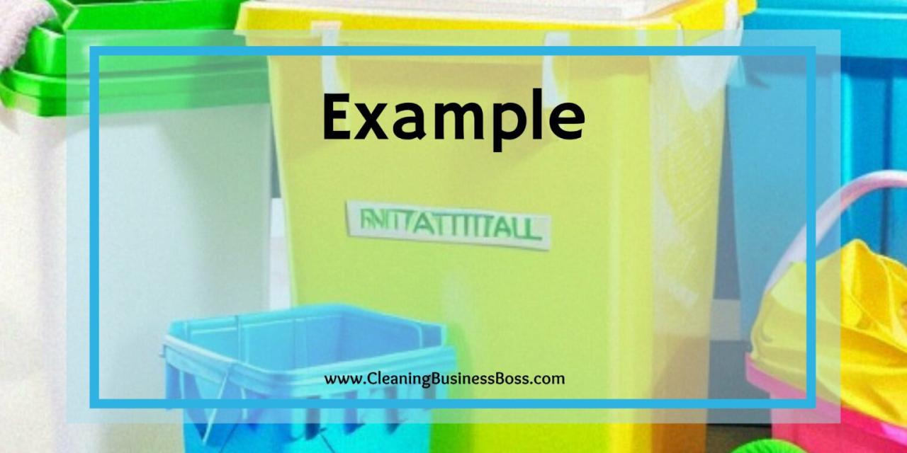 What makes my cleaning business unique examples