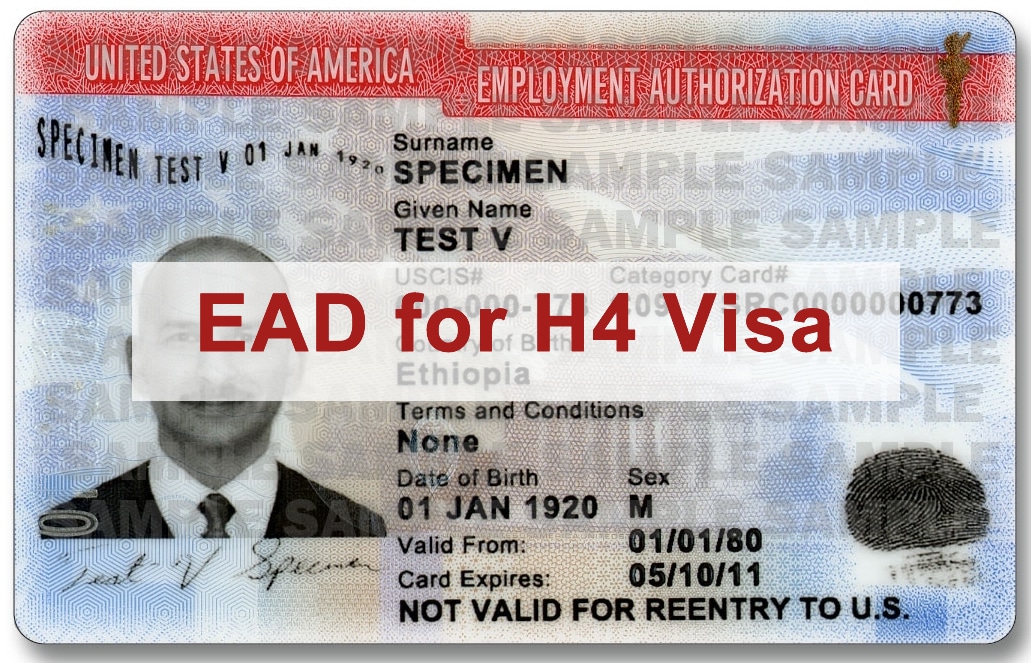 Ead h4 extension days receipt c26 category pending renewal work can card uscis redbus2us rule automatic fall under