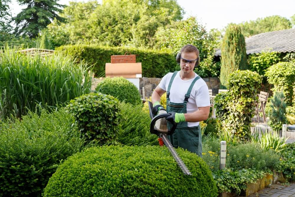 Is landscaping a good business