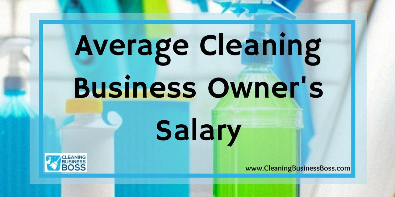 How much does cleaning business make