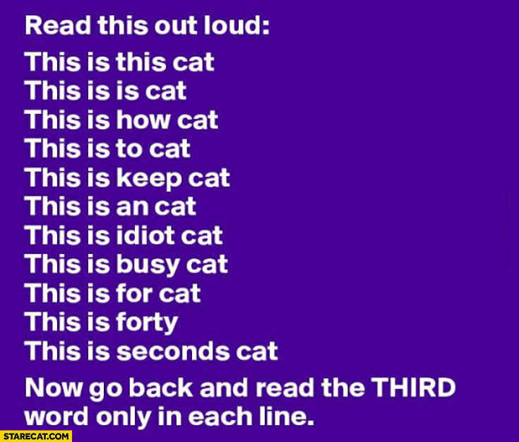 How do you keep an idiot busy