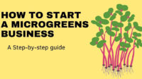 How to start a microgreens business