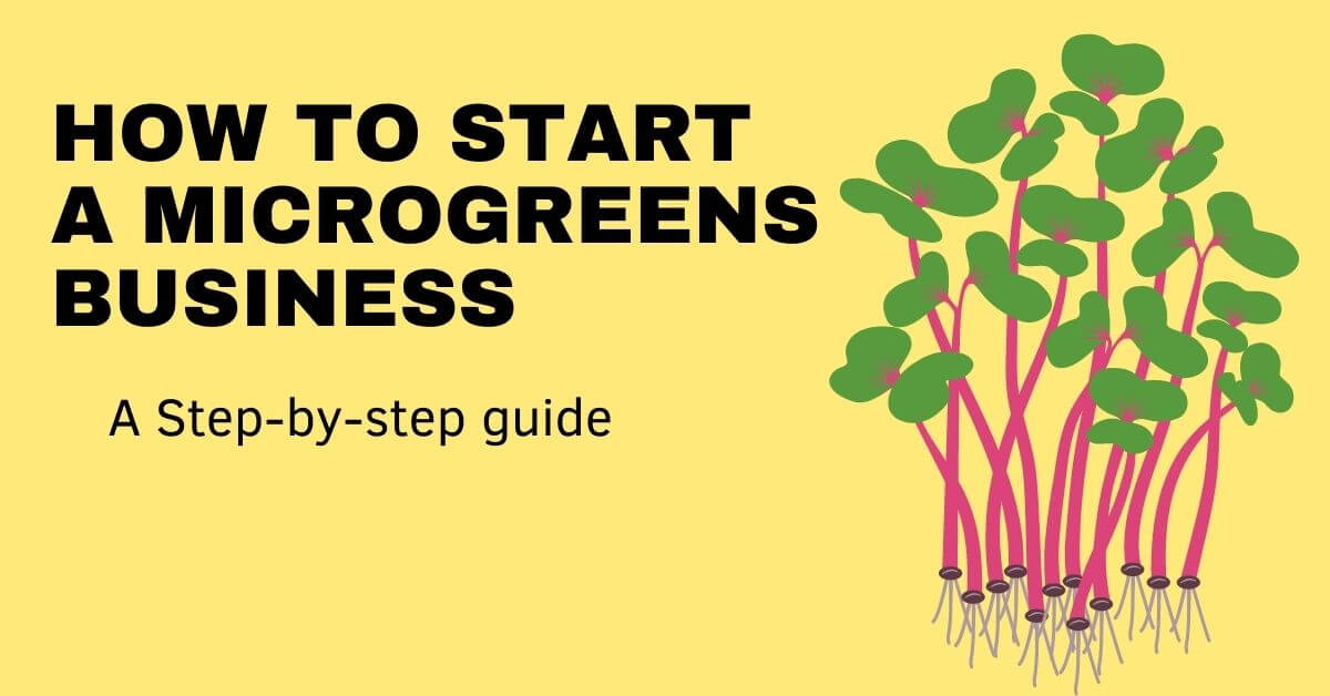 How to start a microgreens business