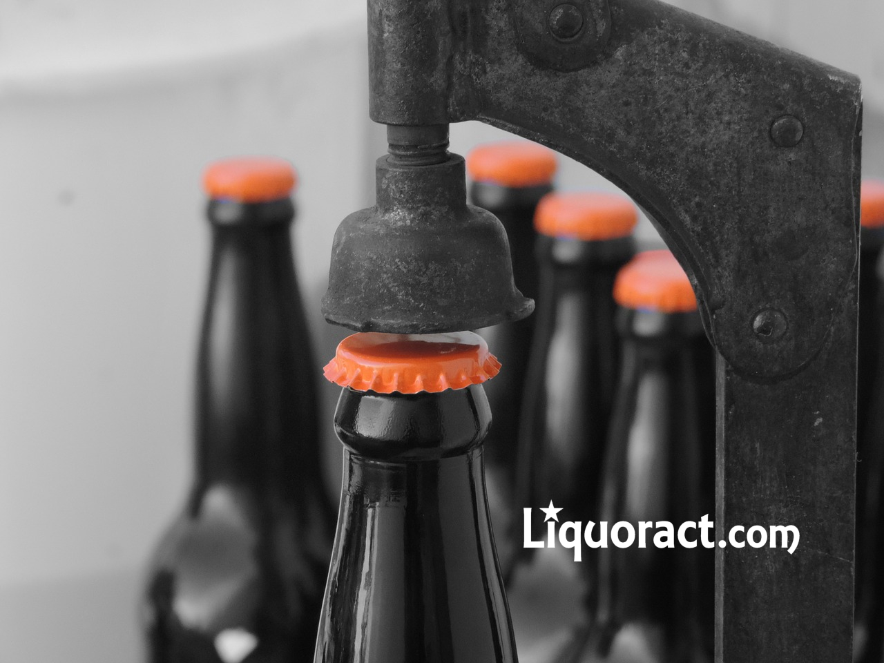 How to start a liquor business