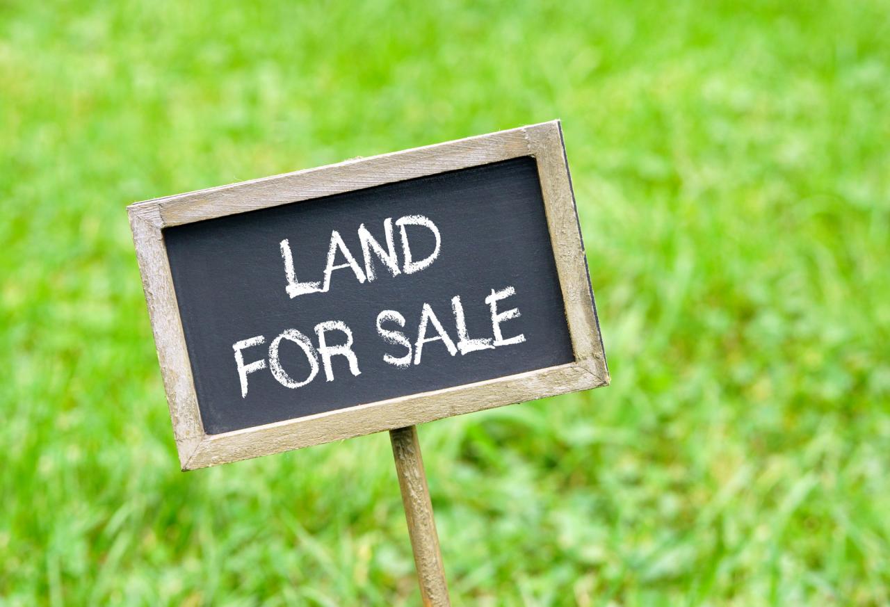 Can i write off land purchase for business