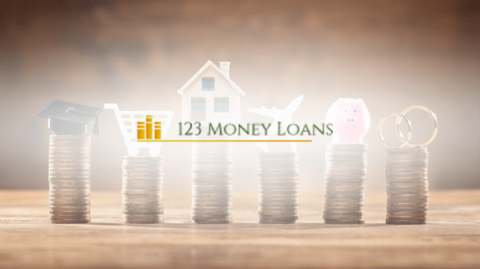 123 loans usa space