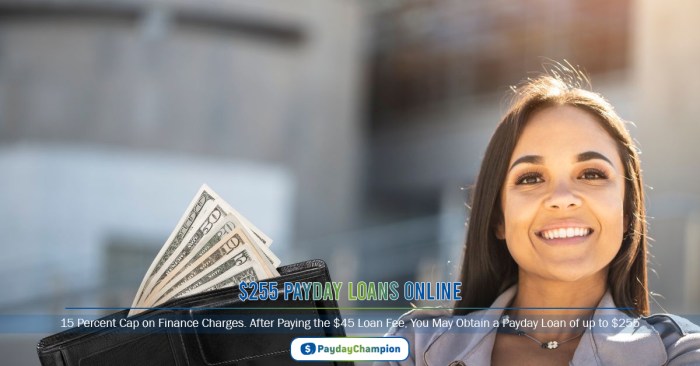 $255 payday loans online same day california