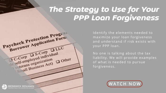 Scratch ppp loan forgiveness