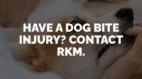 San francisco dog bite lawyer