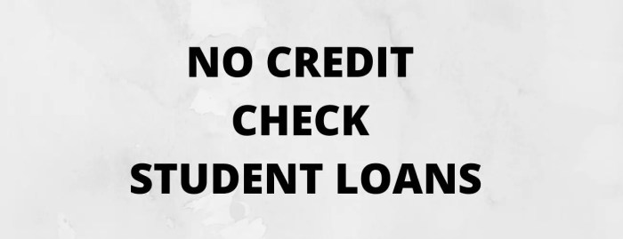 No credit check loans reddit